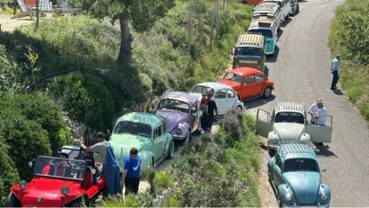 AirCooledMafia Volkswagen Club Lebanon