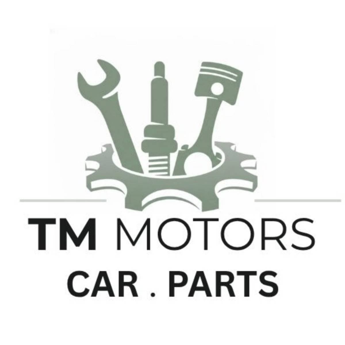 TM Motors