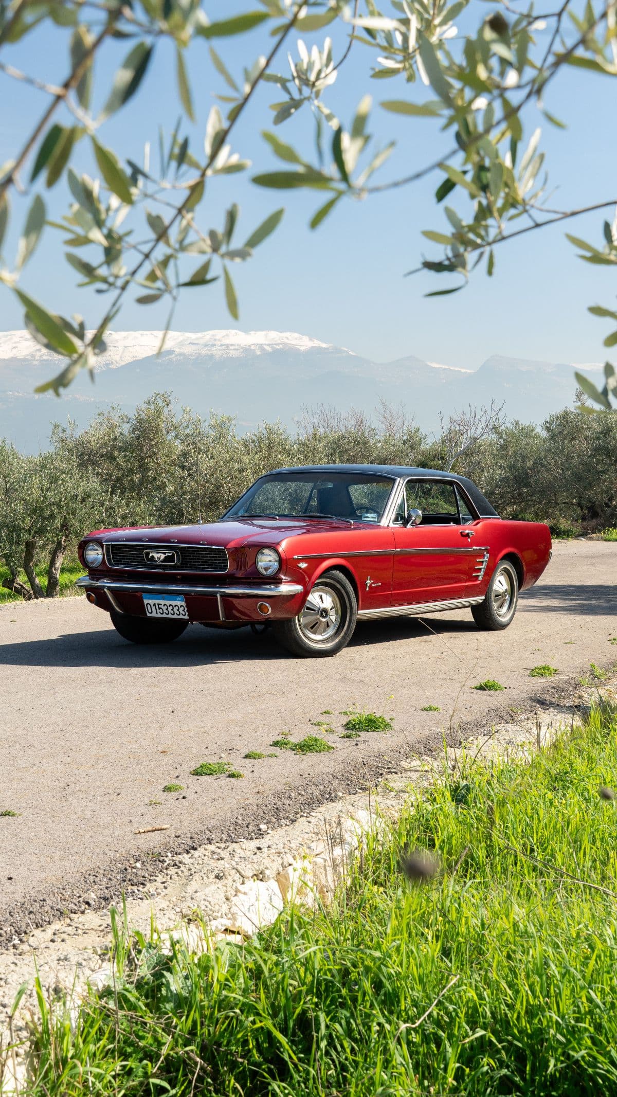 Ford Mustang