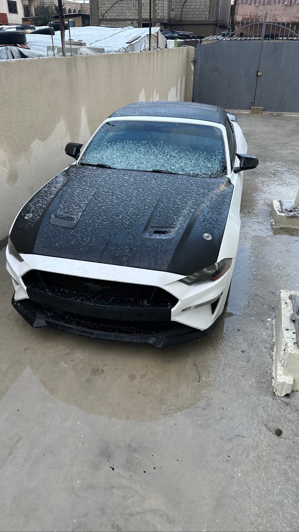 Ford Mustang GT Premium 5.0L V8