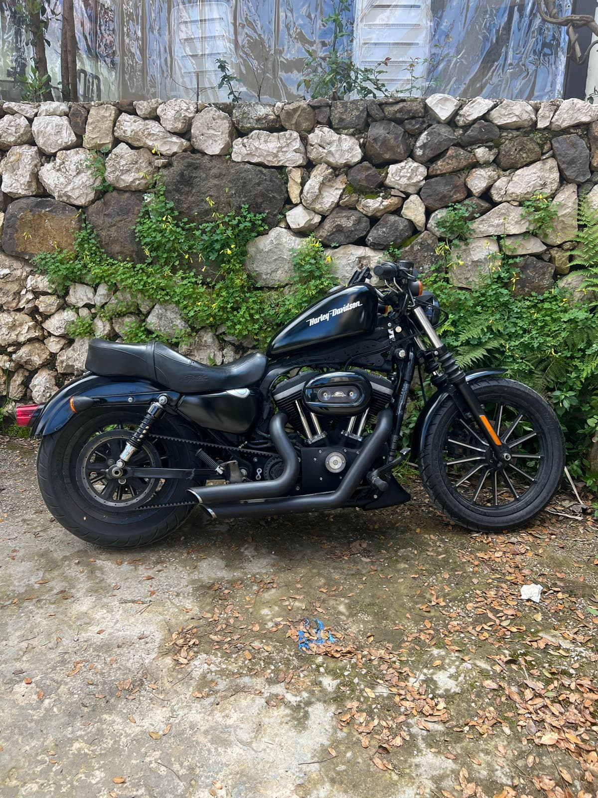 Harley-Davidson Iron 883