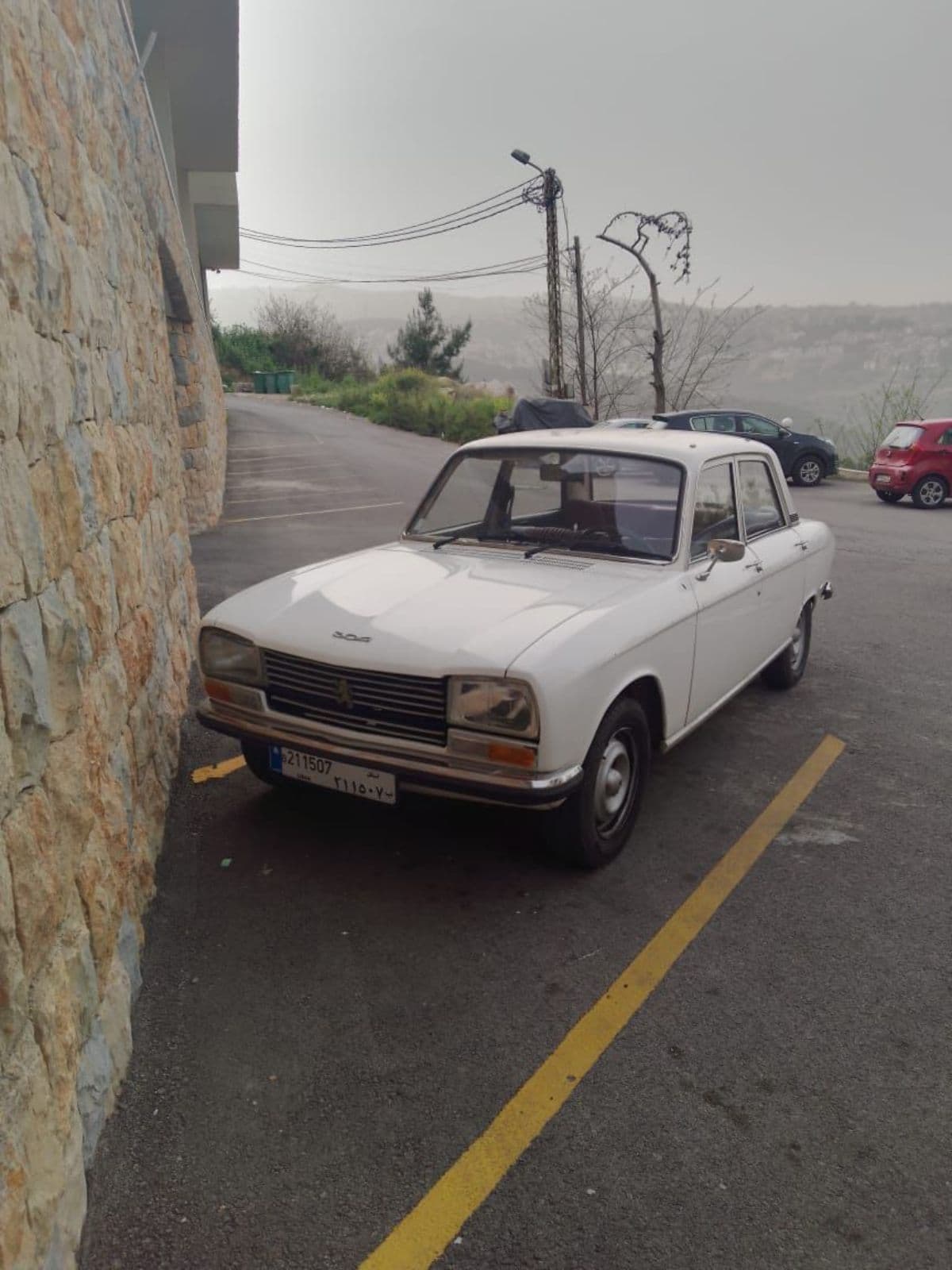 Peugeot 304