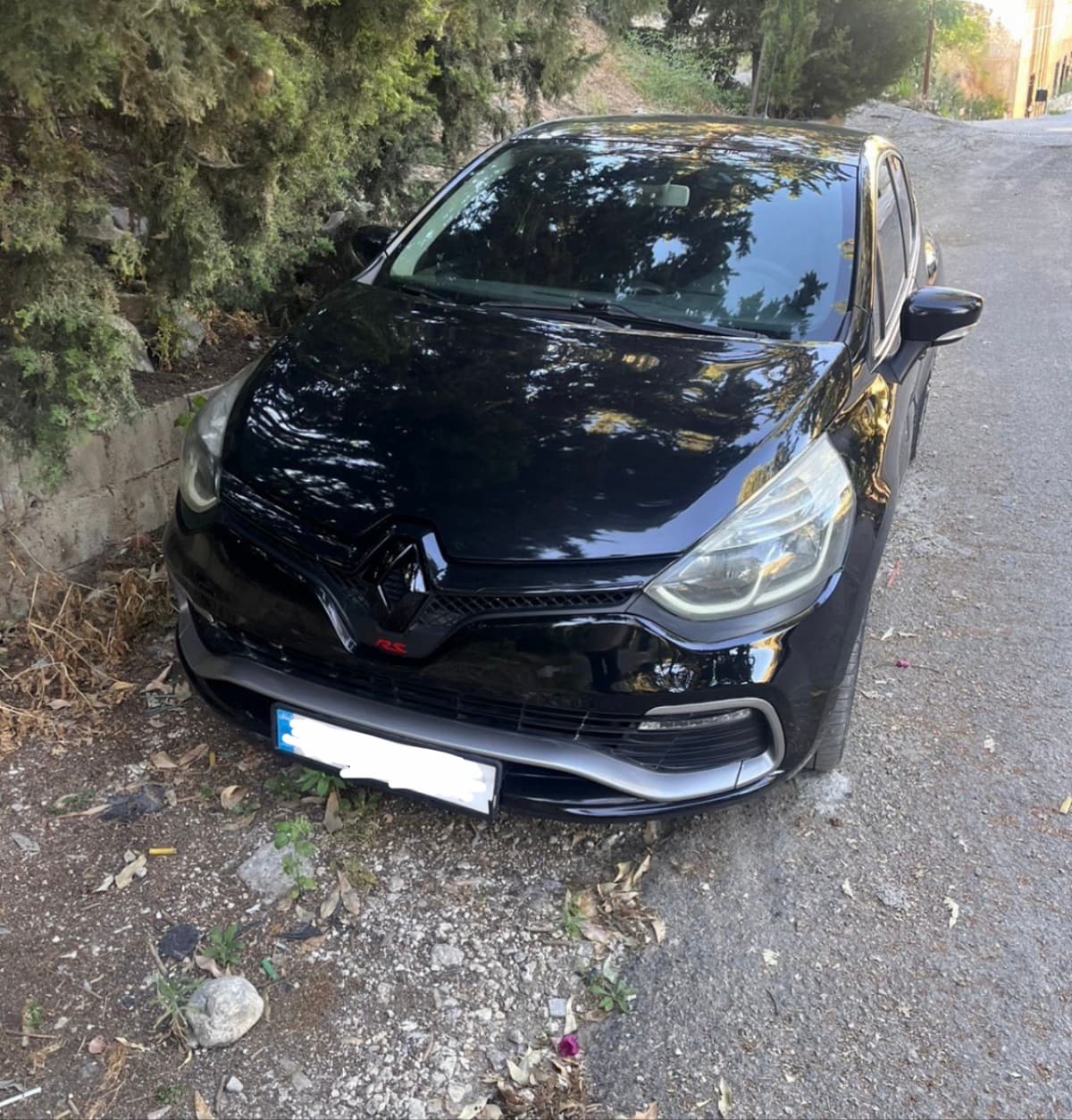 Renault Clio RS