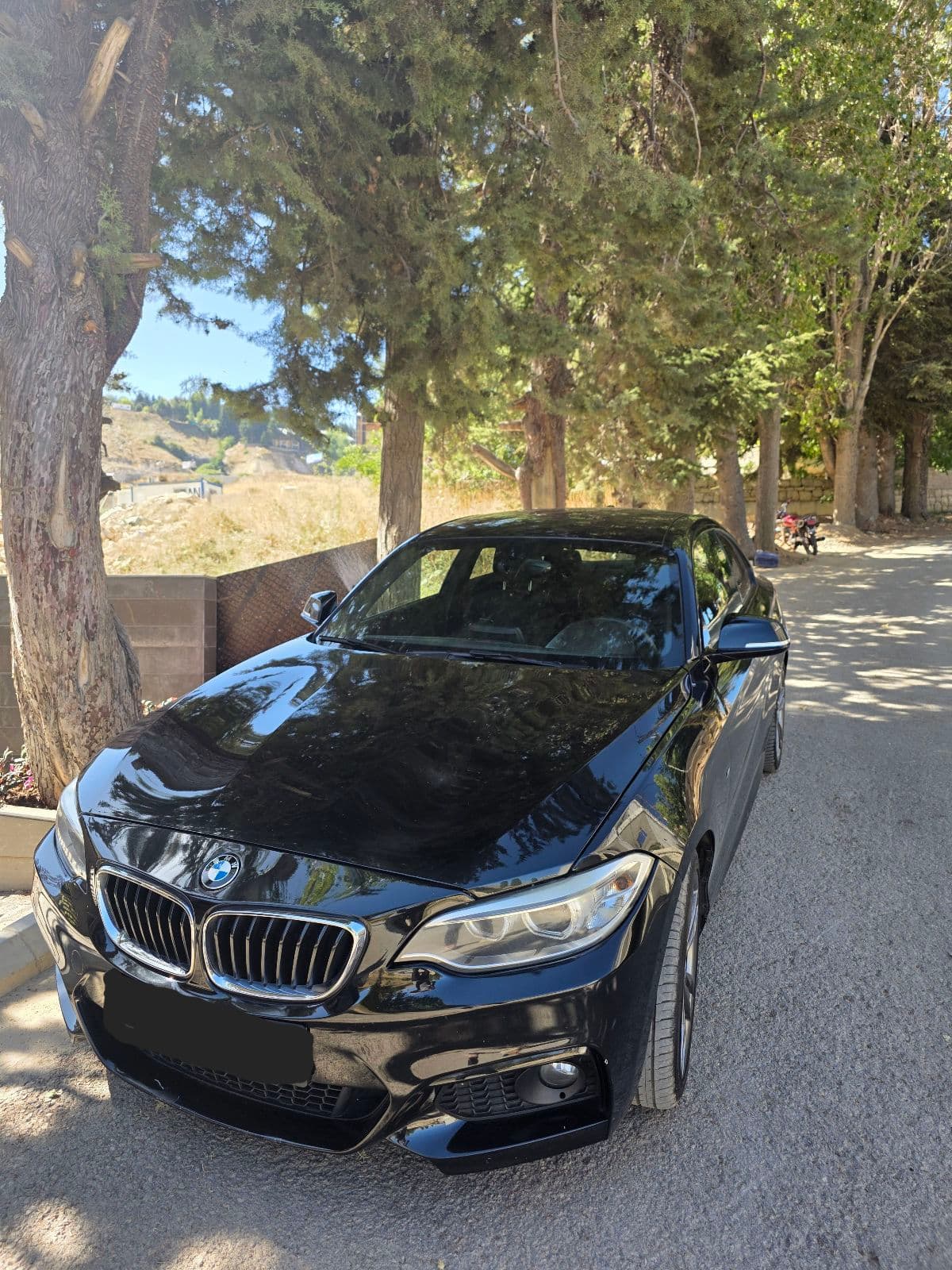 BMW 220i