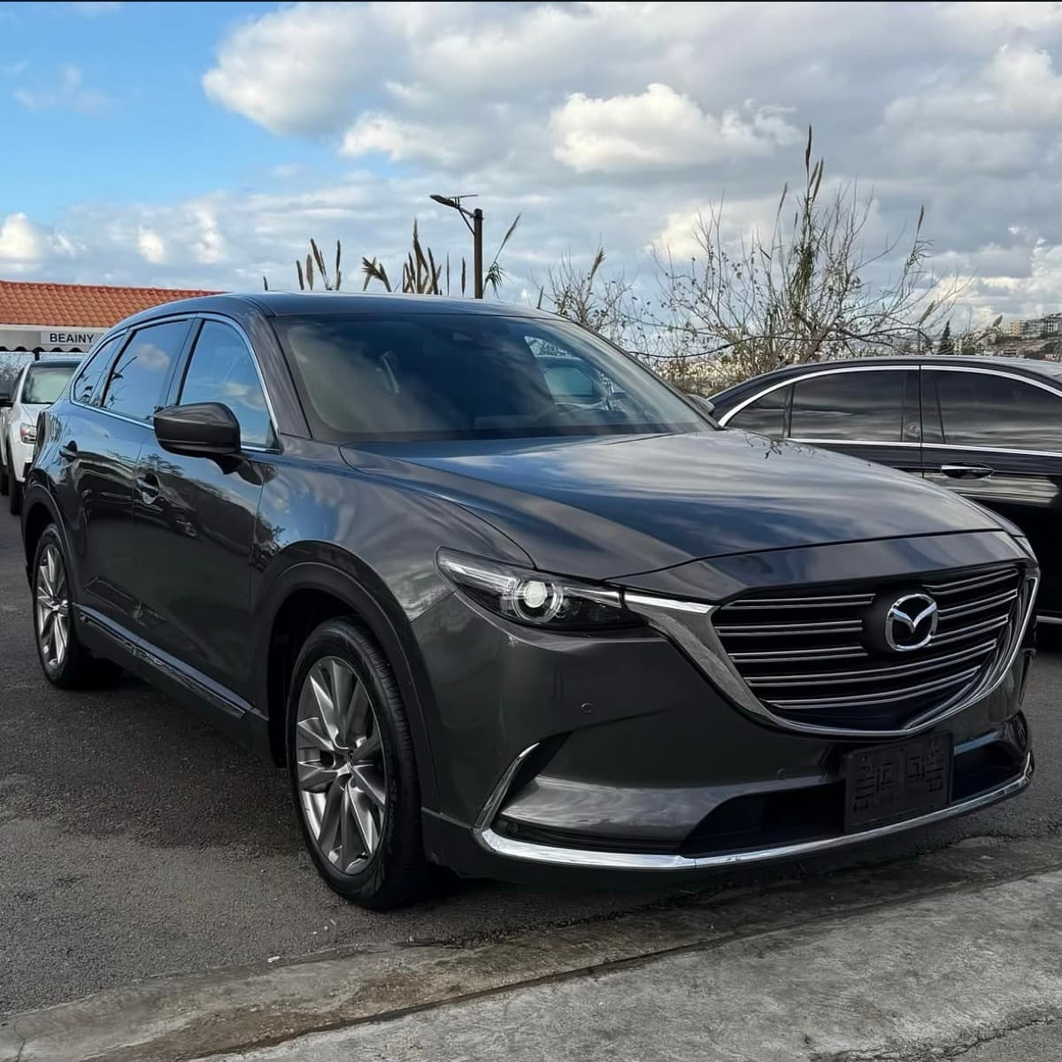 Mazda CX-9