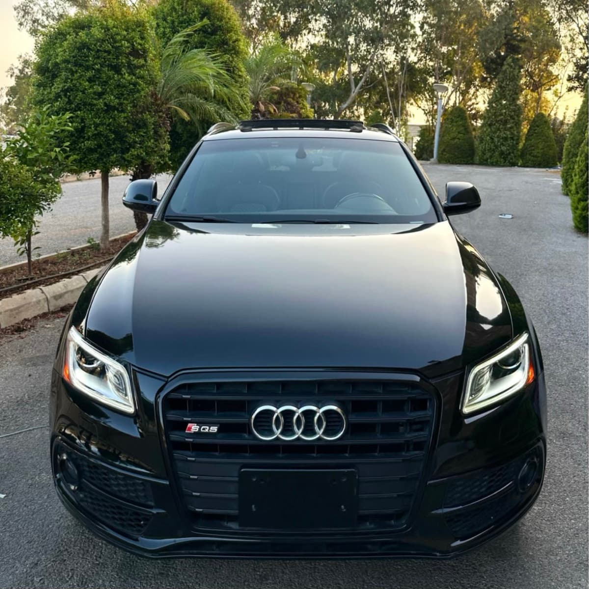 2017 Audi SQ5