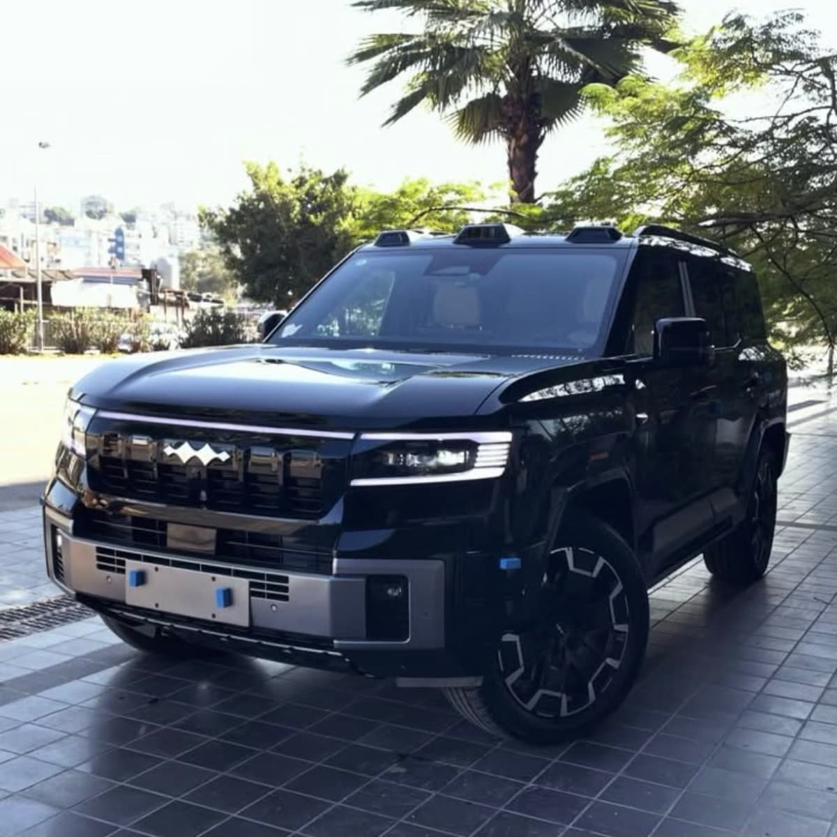 BYD Leopard 8