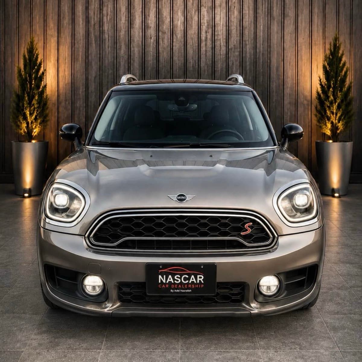 Mini Mini Countryman S
