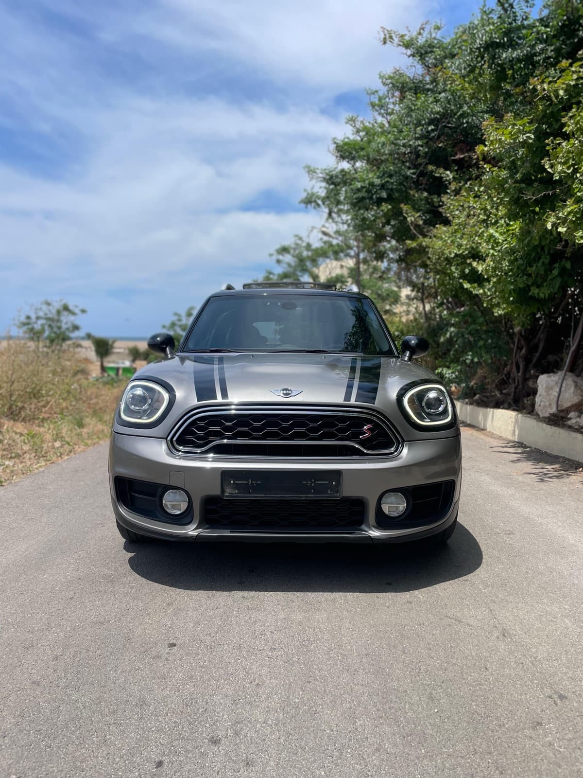 Mini Mini Countryman S