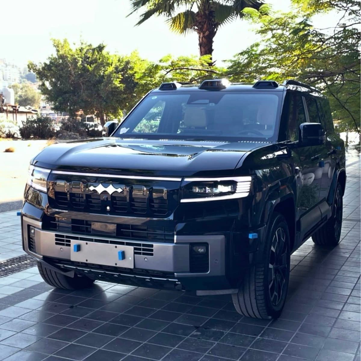 BYD Leopard 8