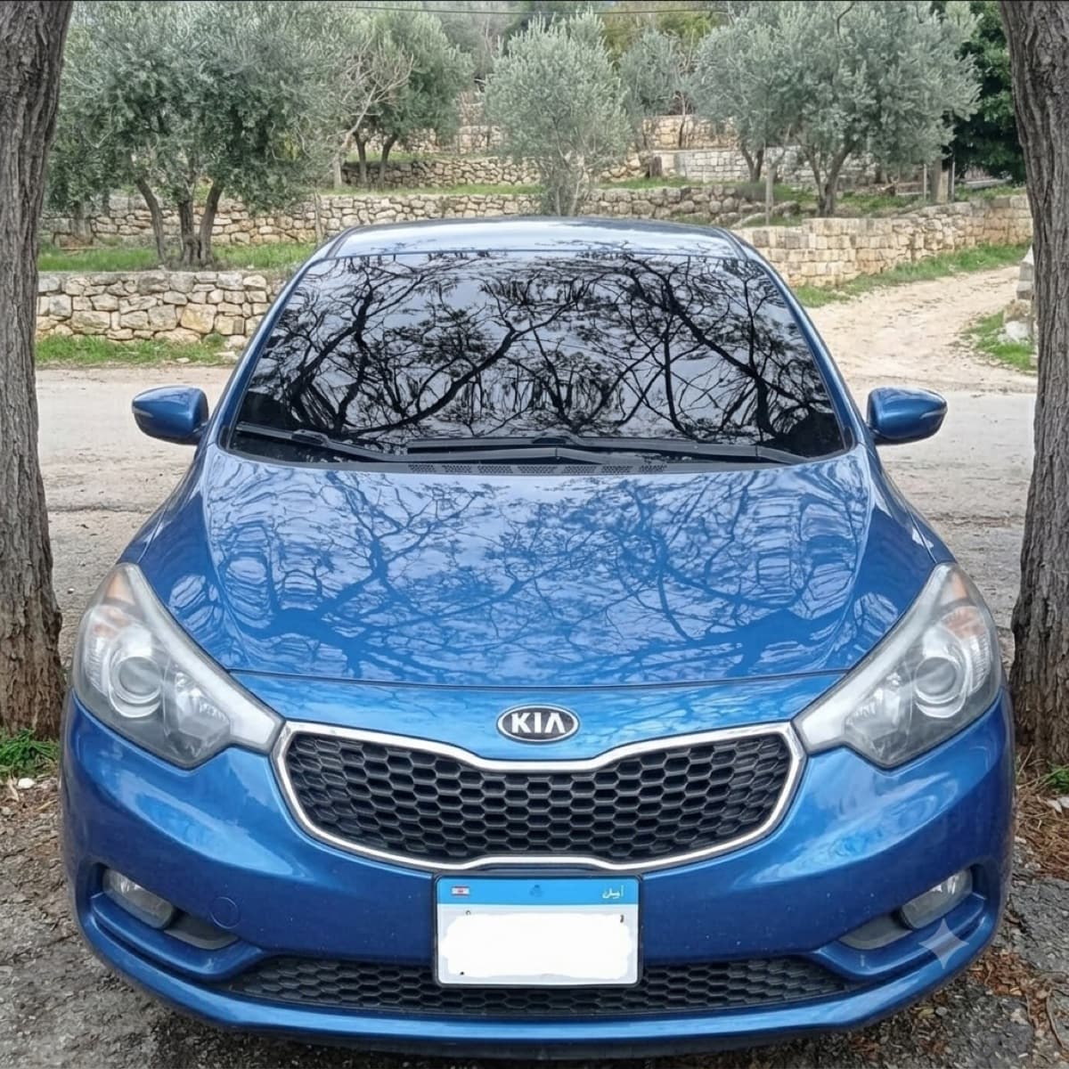 Kia Forte