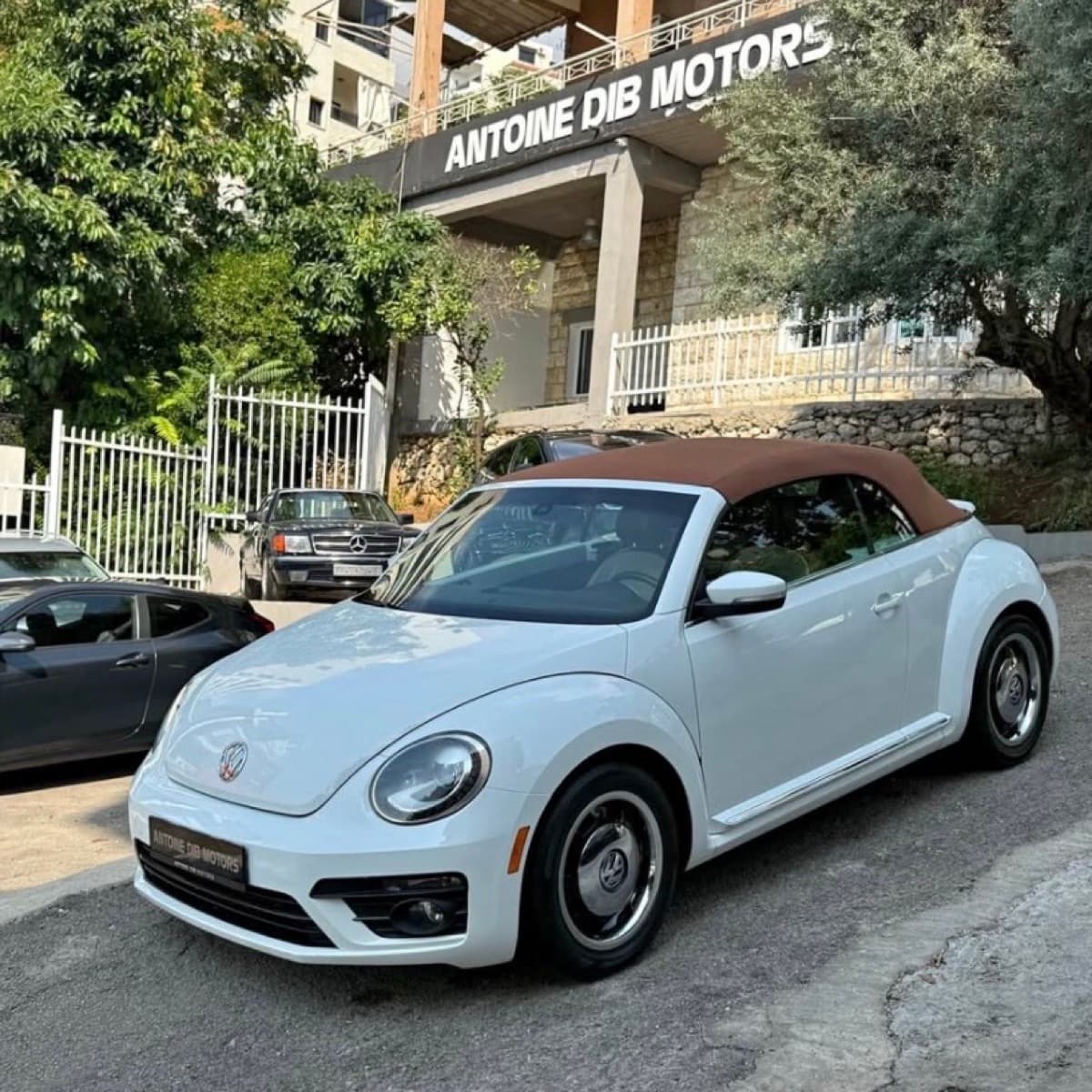 Volkswagen Beetle