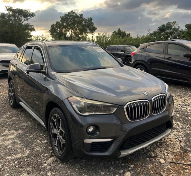 BMW X1