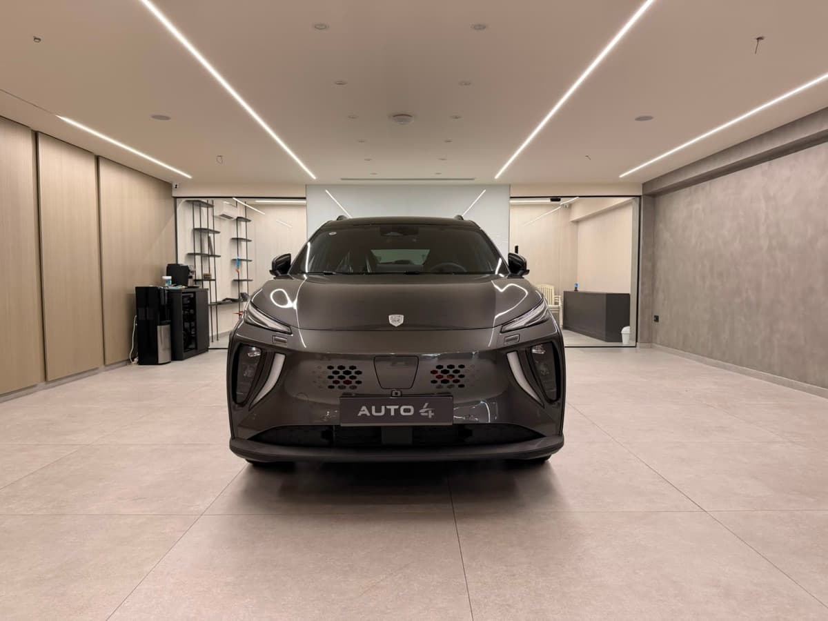 Dongfeng Forthing Reev Friday