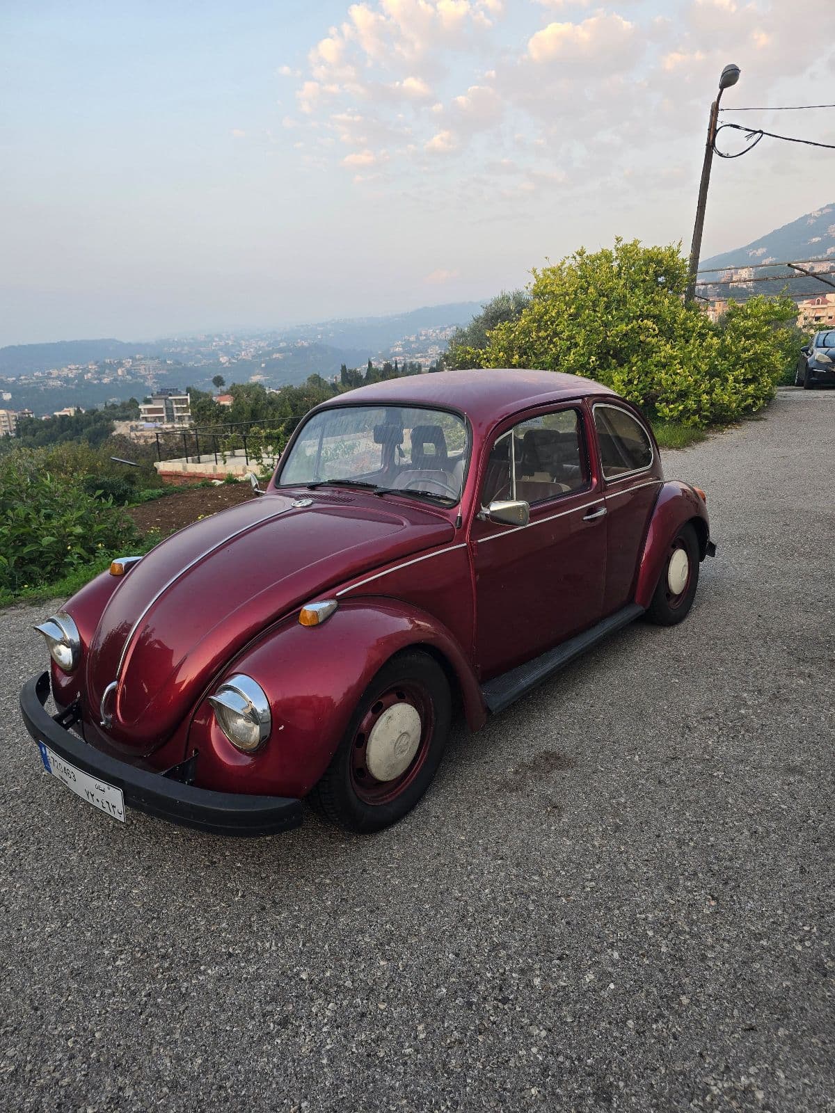 Volkswagen Beetle