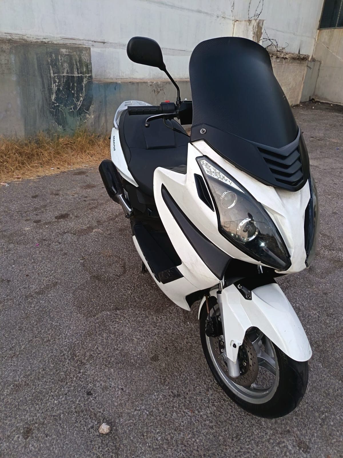 Qingqi Grampus 250