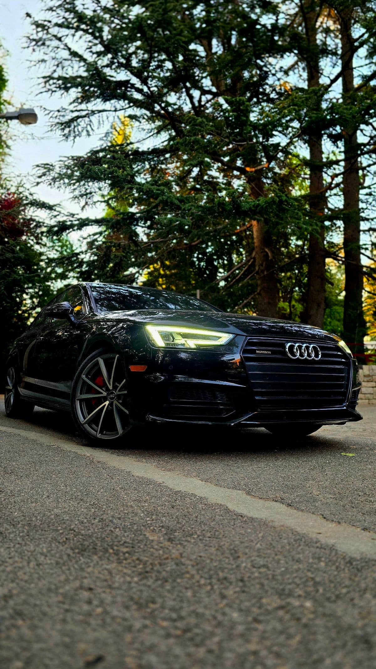 Audi A4 45 TFSI quattro