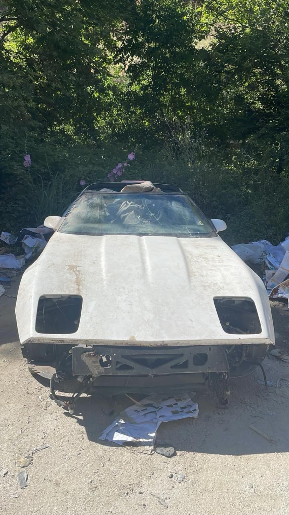 Chevrolet Corvette (Project)