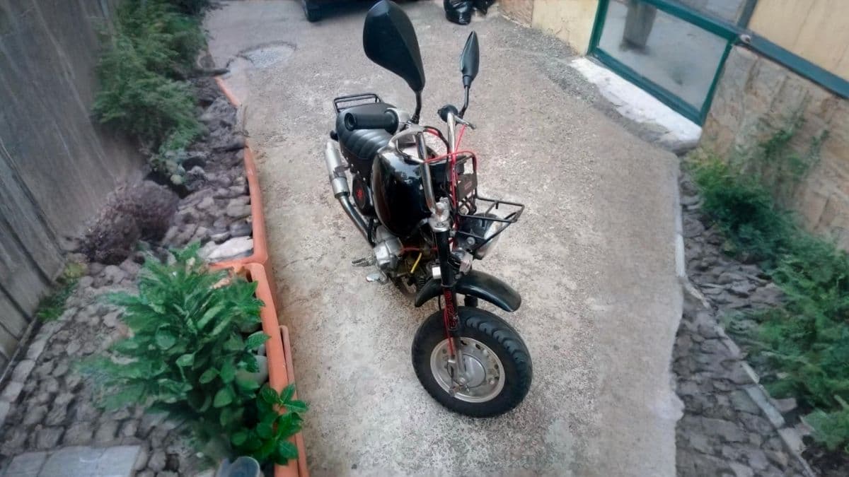 Honda Monkey