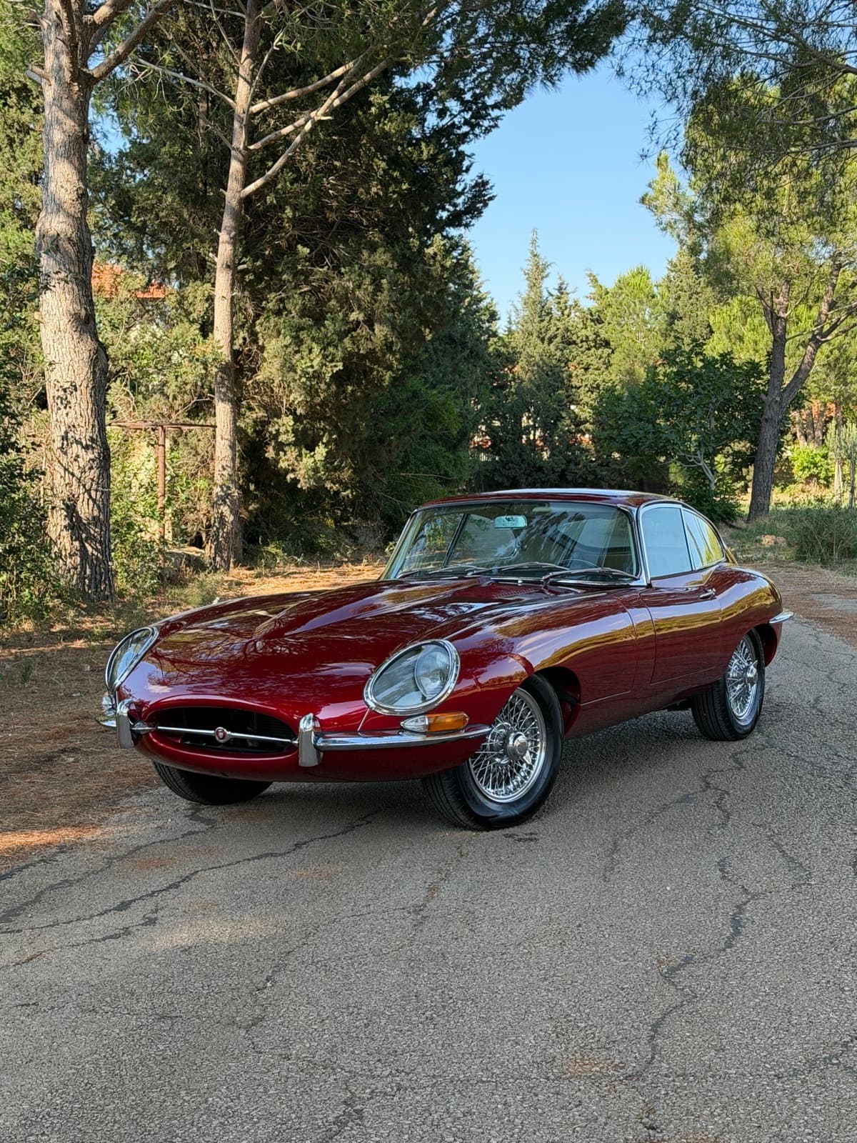 Jaguar E-Type