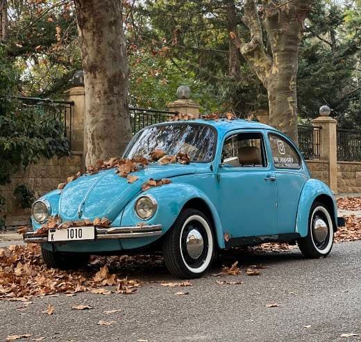 Volkswagen Beetle