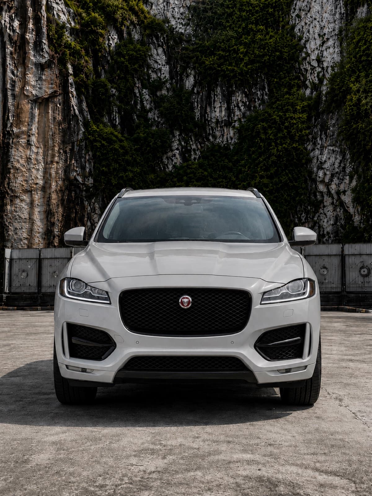 Jaguar R-Sport