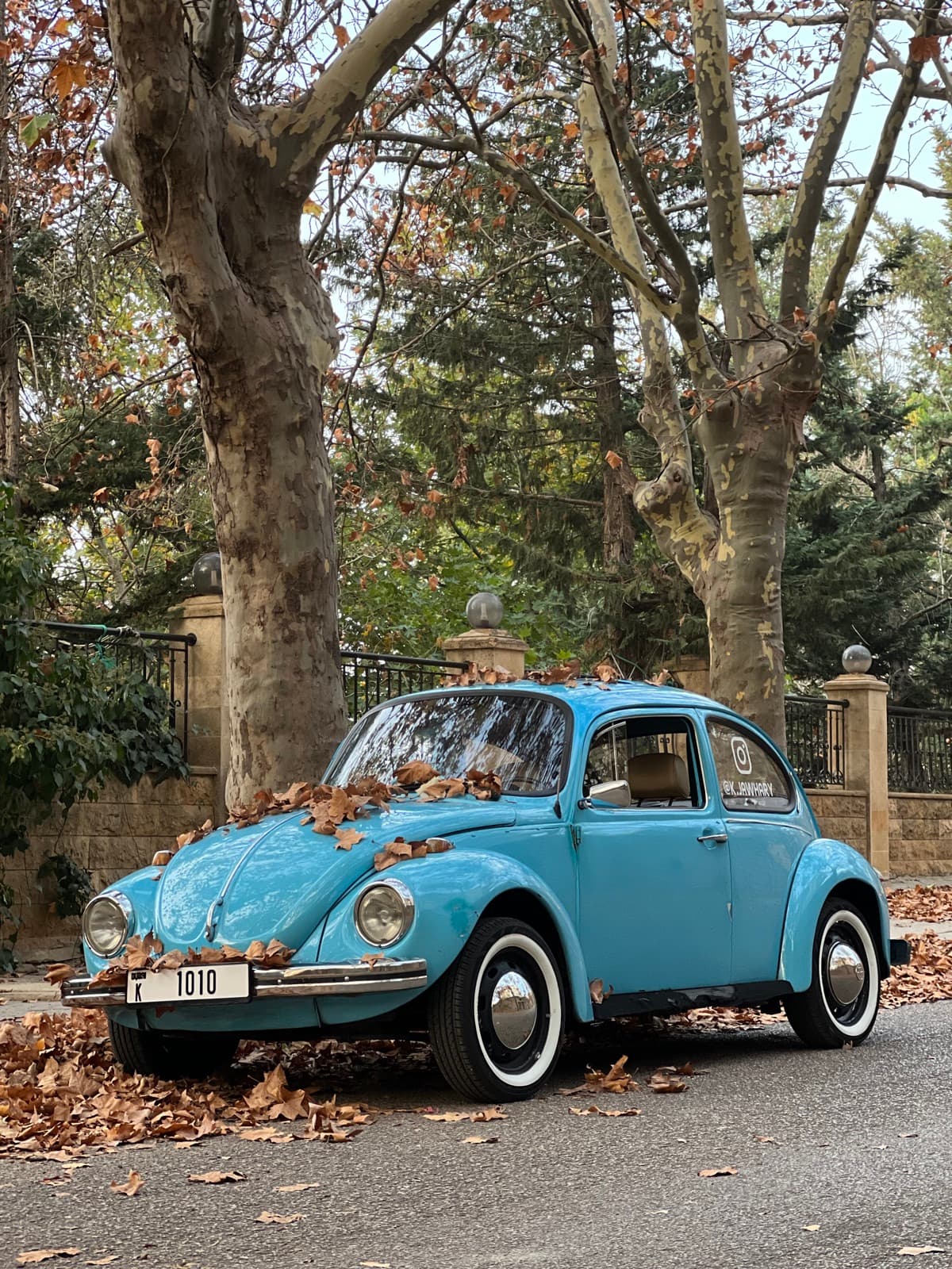Volkswagen Beetle