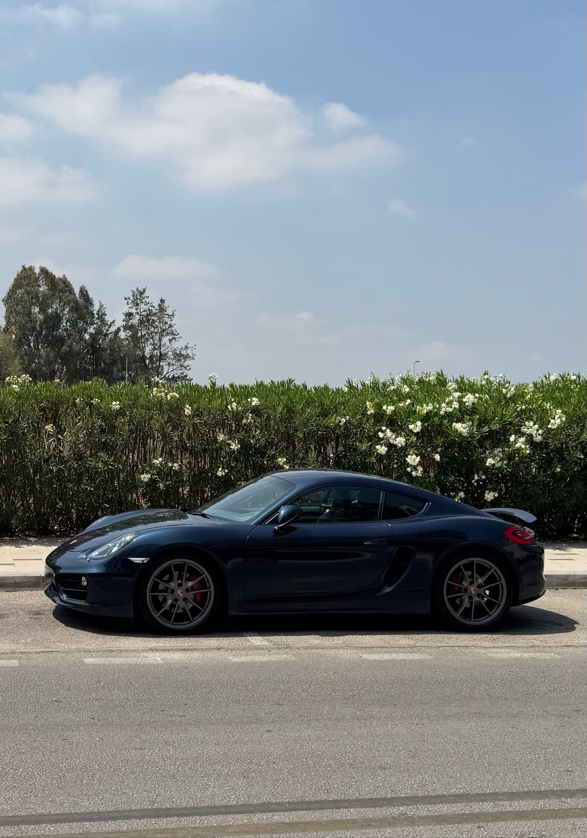 Porsche Cayman