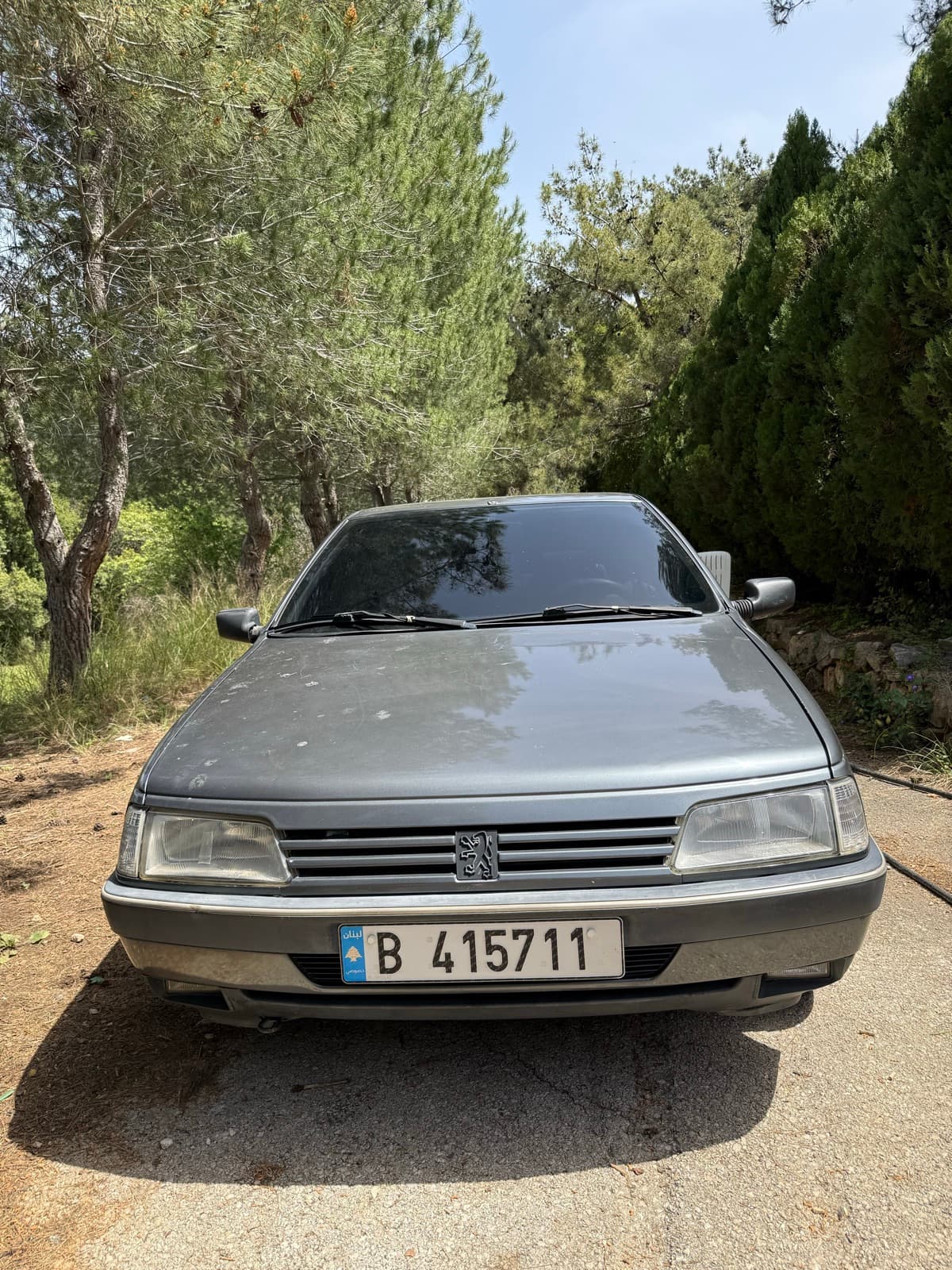Peugeot 406